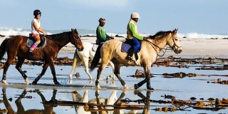 Reiten in Kellenhusen